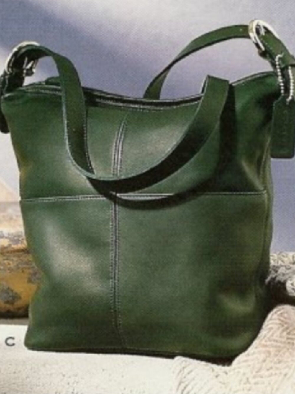 RARE Coach Rivington 4141 in Bottle Green Leather Shoulder Bag Purse looks new